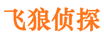 龙泉侦探调查公司